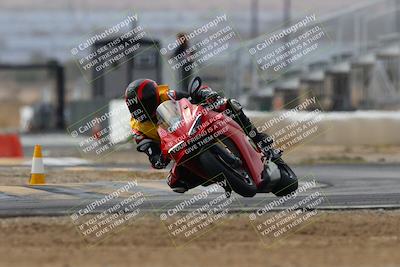 media/Mar-02-2025-Race Pace (Sun) [[8bec80ae00]]/12-Vested (Turn 2) 1111am/